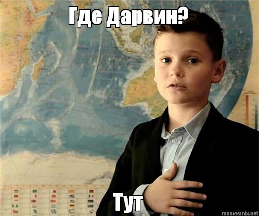 Дима и премия Дарвина