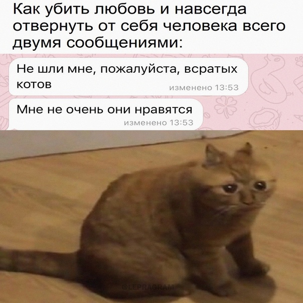 Есть два типа девушек и другие картинки 20.12.21