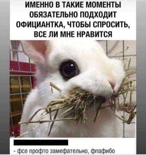 Картинки на выходные 25.12.21