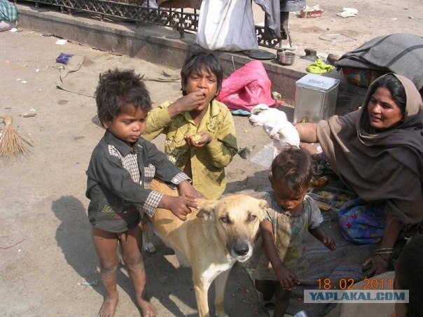 Путешествие по Индии