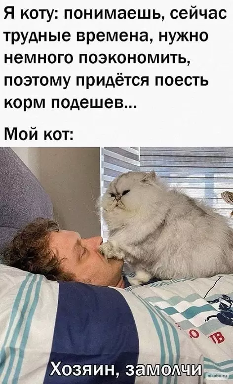 Картинки и мемы для настроения - 27