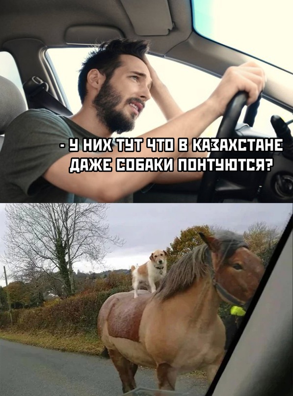 Весёлый полтишок 08.07.22