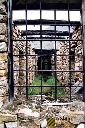 Топ-15 самых популярных региональных брендов
