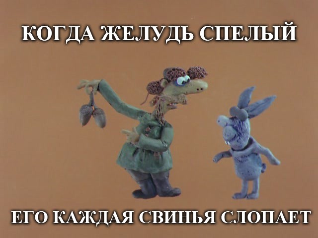 Хабаровские селекционеры вывели сверхзимостойкие сорта абрикоса