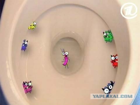 Ода об ободке унитазном