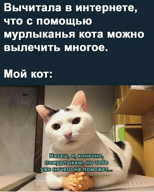 Картинки и мемы, всем хороших выходных
