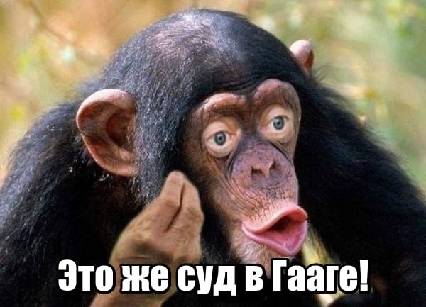 Победная поступь идиотизма по планете – том 12