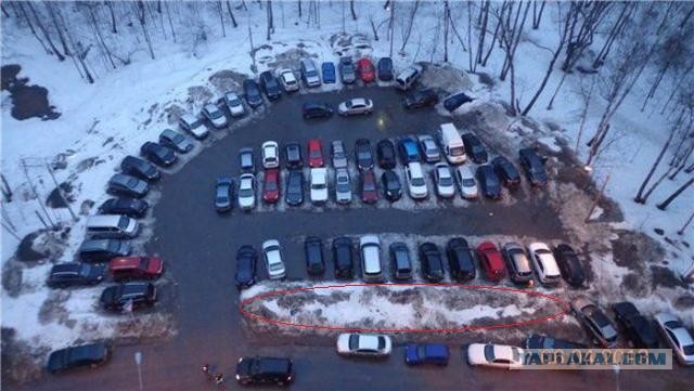 Семейная парковка или наглость высшей степени