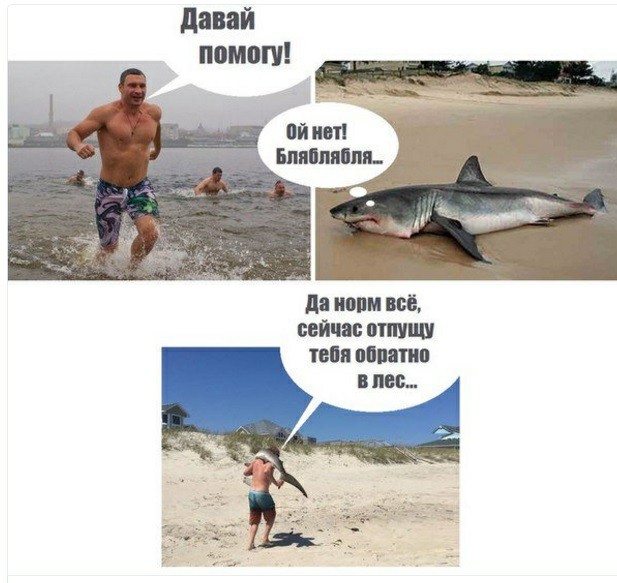 Спасатель котиков