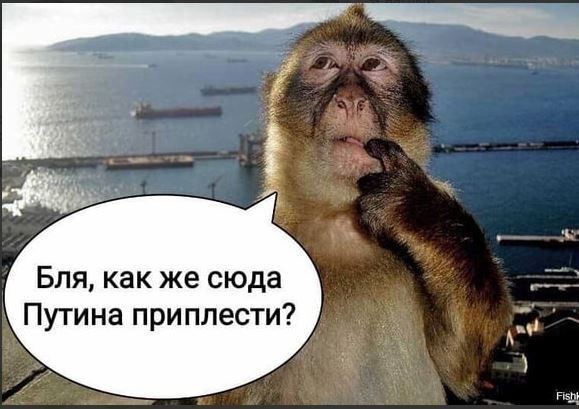 "Чё ты делаешь-то?!", гибель в авиакатастрофе ХК "Локомотив"