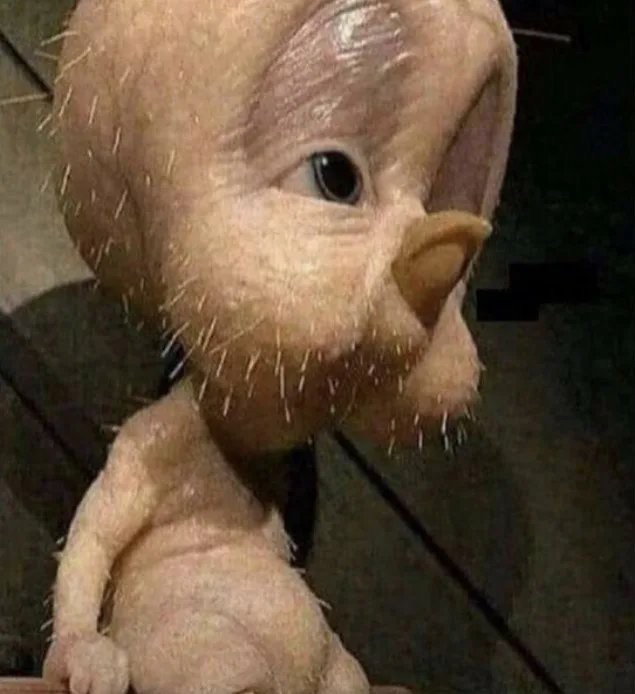 ФотоВинегрет