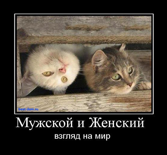 Дорогой, я в постеле ЗВЕРЬ!
