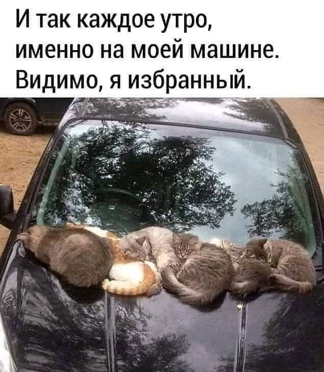 Так себе картинки 07.07.24