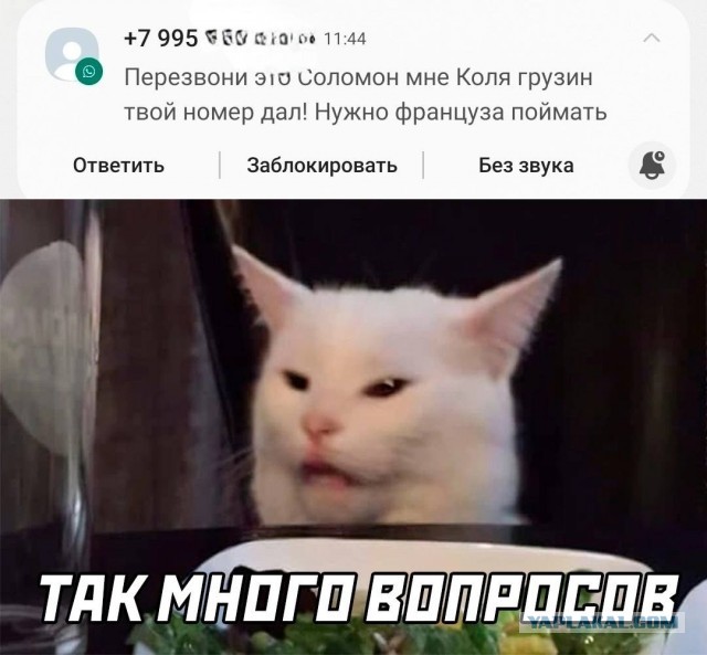 Завалялось тут случайно немного забавных картинок