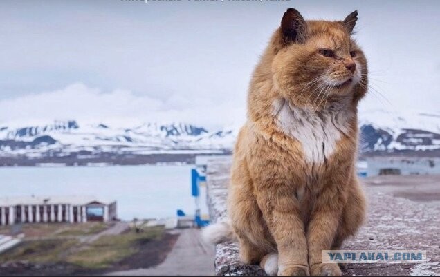 Шпицберген