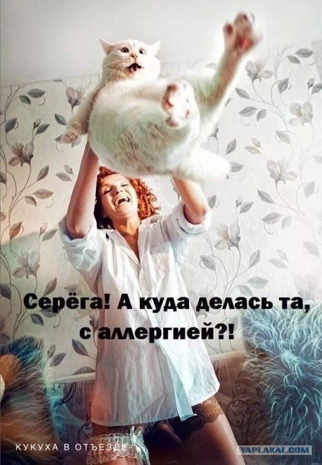 Картинки не для всех