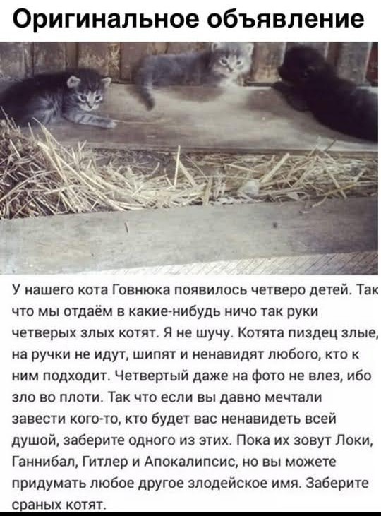 Завалялось тут случайно немного забавных картинок