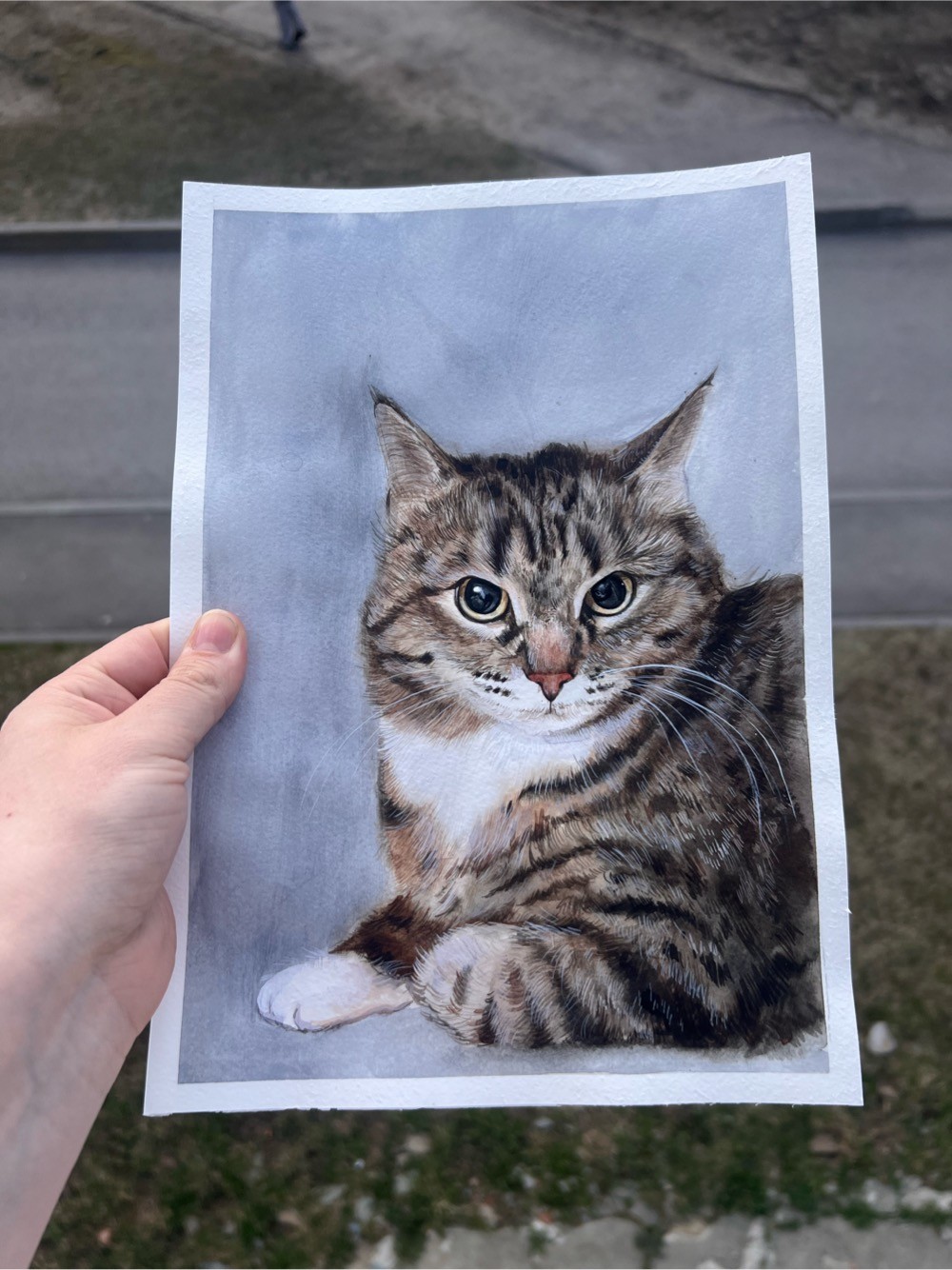 Портрет кошки Даши акварелью