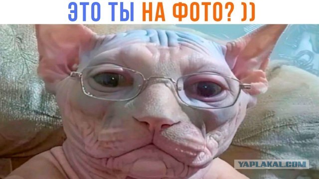 Марина, не нуди