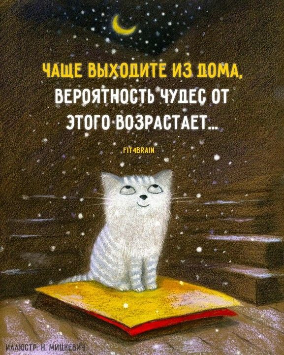 Прикольные и просто красивые картинки 17.11.2025