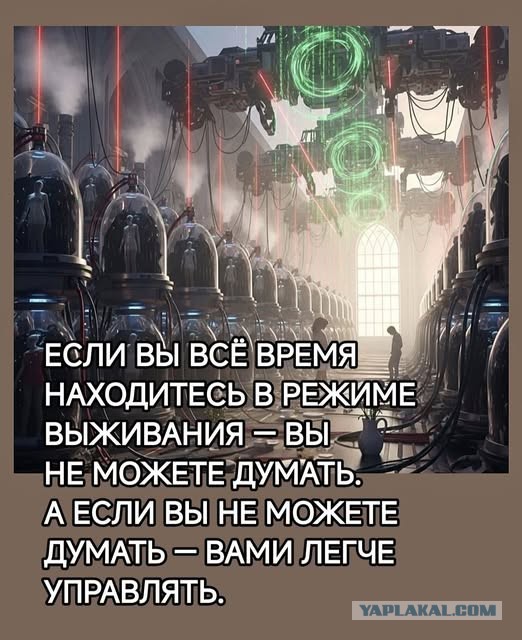 Картиночки, баянчики 10 декабря