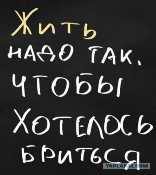 Картинки