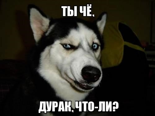 Находки на старой квартире