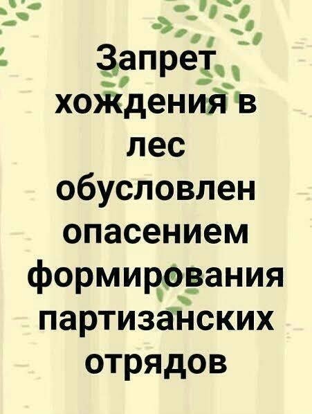 Веселых картинок вам в ленту