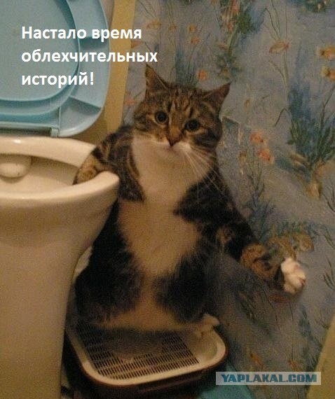 Ходим в туалет красиво