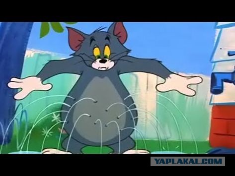 Мультибрендовая газировка