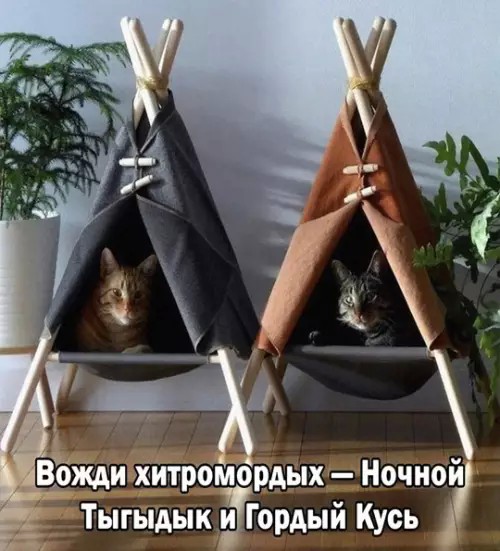 Картиночки, баянчики 10 апреля