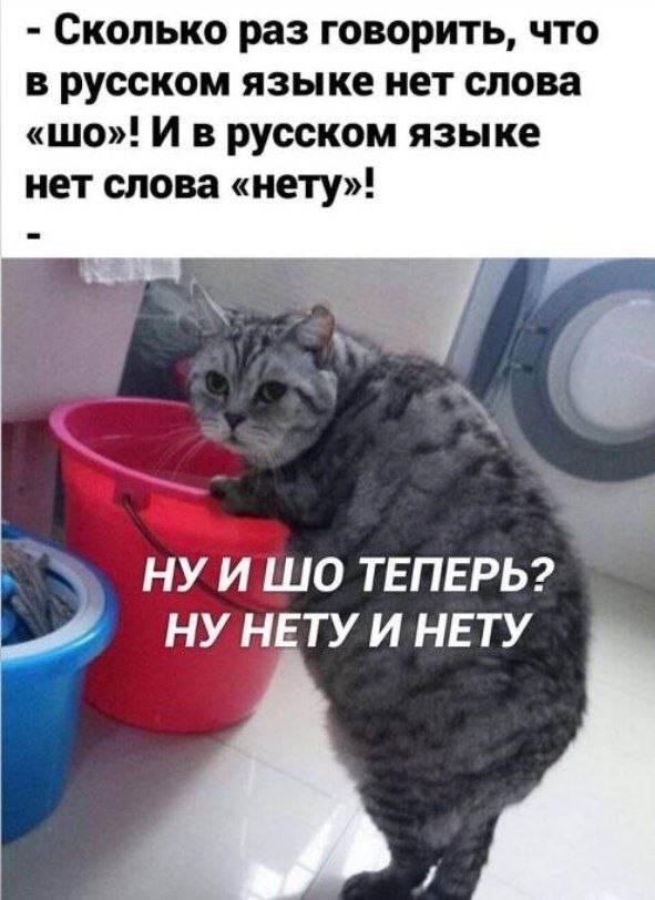 Визде так визде⁠⁠