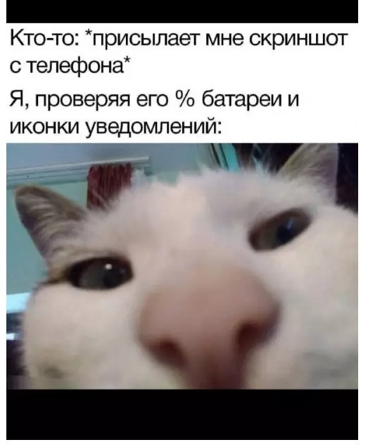 Картинки для деградации 236 (разной степени свежести)