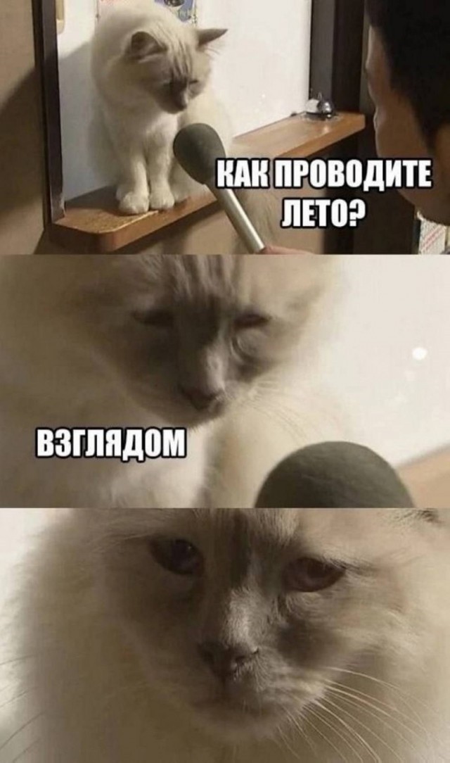Август - это ещё не осень! (Околоавгустовская подборка)