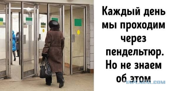 Пять суток в плацкарте