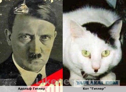 20 актеров, идеально перевоплотившихся