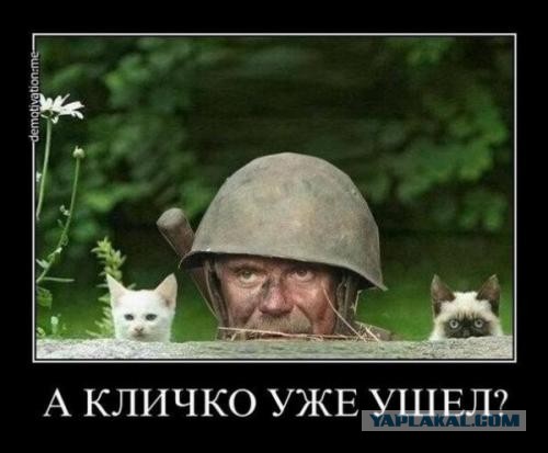 Русский витязь побеждает силой духа