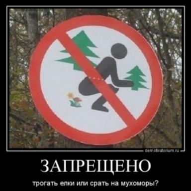 Общественный туалет в Голландии