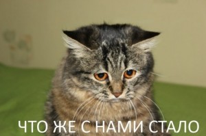 Ляпис Трубецкой объявил о роспуске группы