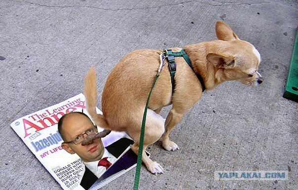 Смешные комментарии из социальных сетей.