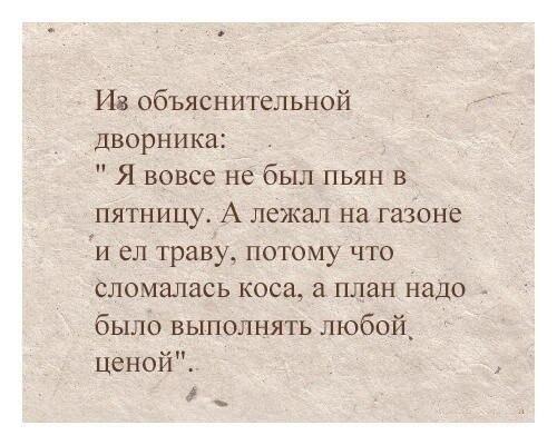 Смешные комментарии из социальных сетей.