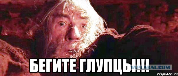 Польша всё еще strong!