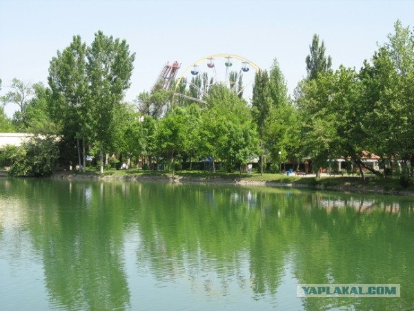 Ташкент в лицах