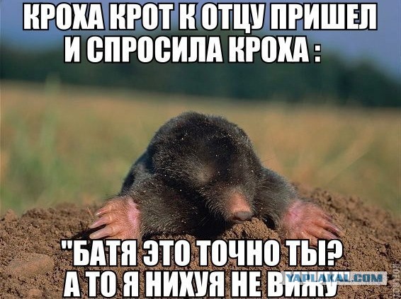 Смешные картинки с подписями 2