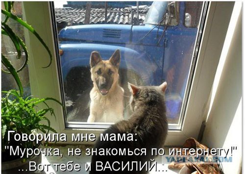 Поднимаем настроение