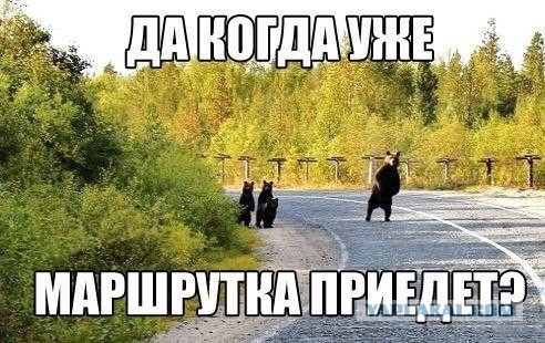 Подборка смешных картинок :)