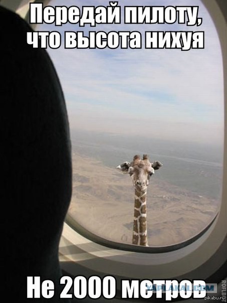 Предварительный доклад по боингу