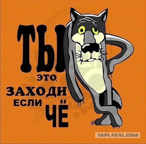 Какие сайты вы посещаете чаще