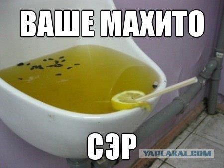 Вестник Соцсетей