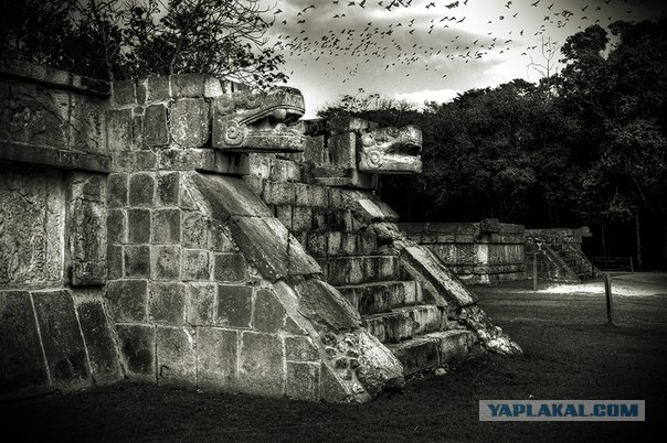 Mexica, там где люди становятся богами